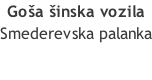Goša šinska vozila Smederevska palanka